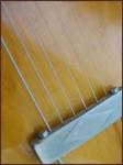In love with jazz guitars... Here, my trusty Gibson es335-td from 1966.
